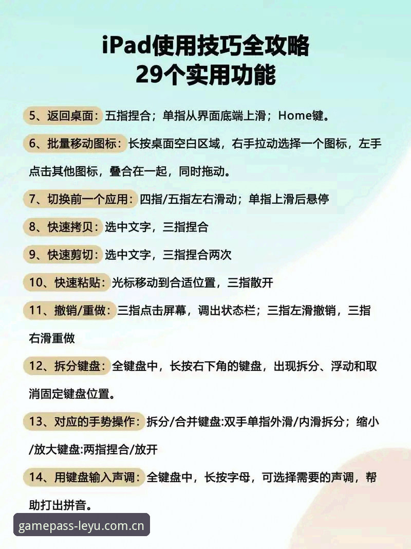乐鱼体育移动端最新版使用详解，新手轻松上手指南