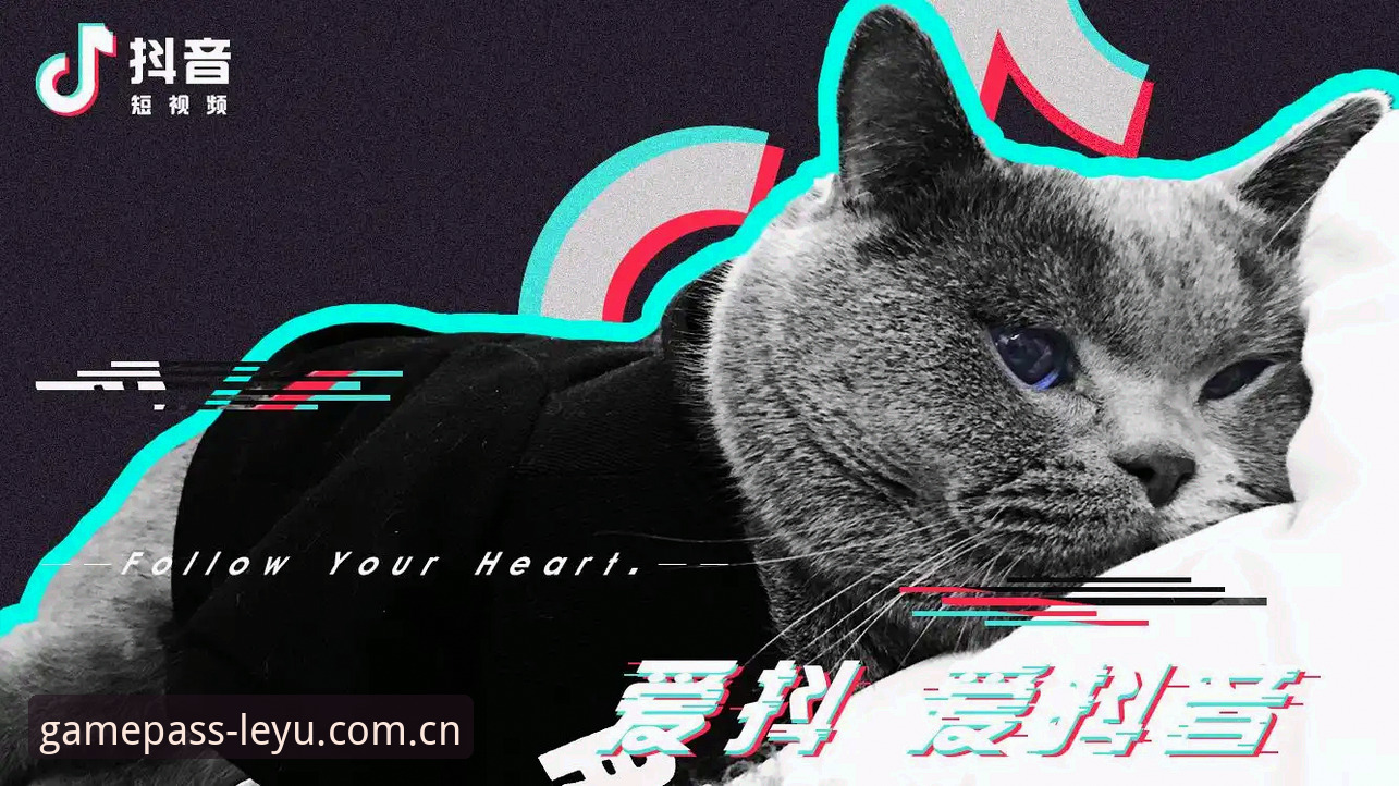 乐鱼体育怎么下载手机版：老用户手把手详解